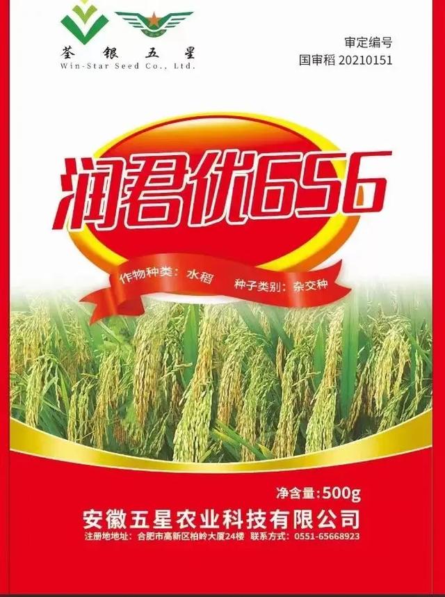 润君优656 最强一代香稻米，破解香稻抗倒与产量难题